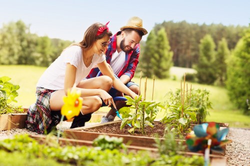 Healthy green lawn care in Longlands with neat grass and tidy edges