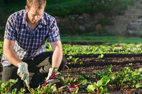 PPE used by a gardener during outdoor maintenance