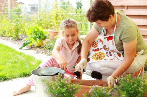 Longlands garden lawn care showing mowing, watering, and fresh turf