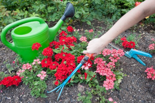 Gardeners Longlands improving a front garden with planting and lawn care