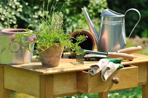 Composite and timber decking options for Longlands homes