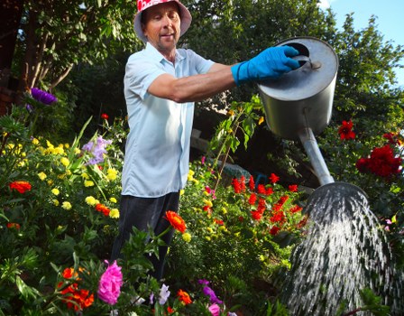 Accessibility-focused gardening website introduction for Longlands