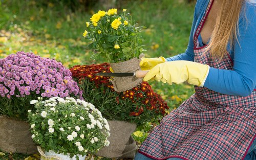 Waste removal and environmental compliance in gardening services