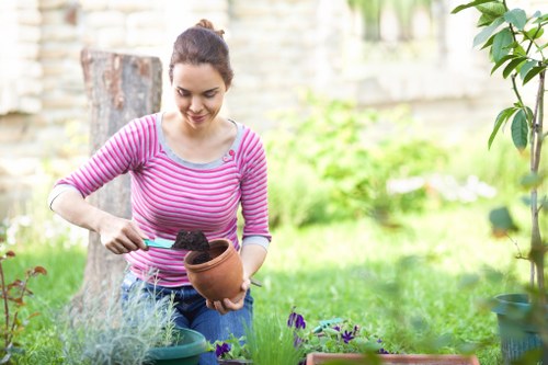 Gardeners Longlands working on a healthy and attractive garden