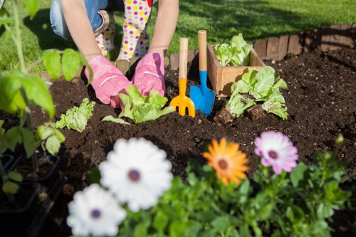 Seasonal lawn maintenance in Longlands with aeration and feeding