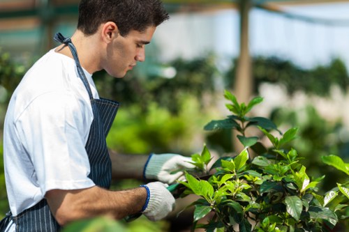 Commercial gardening services in Longlands for polished property exteriors