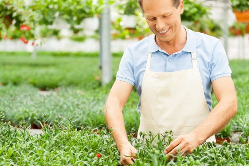 Ongoing garden care in Longlands supporting healthy lawns and tidy beds