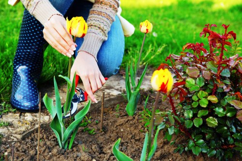 Transparent garden pricing for homes and busy streets in Longlands
