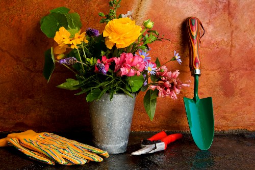 Garden maintenance in Longlands with lawn care and weed control