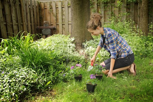 Professional gardeners Longlands refreshing a tidy outdoor space