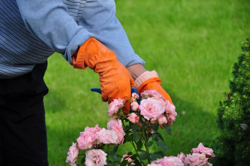 Professional lawn mowing in Longlands using a mower on a suburban property