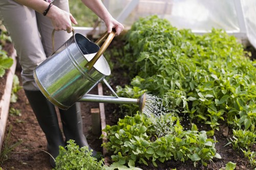 Seasonal planting and hard landscaping in a Longlands garden design