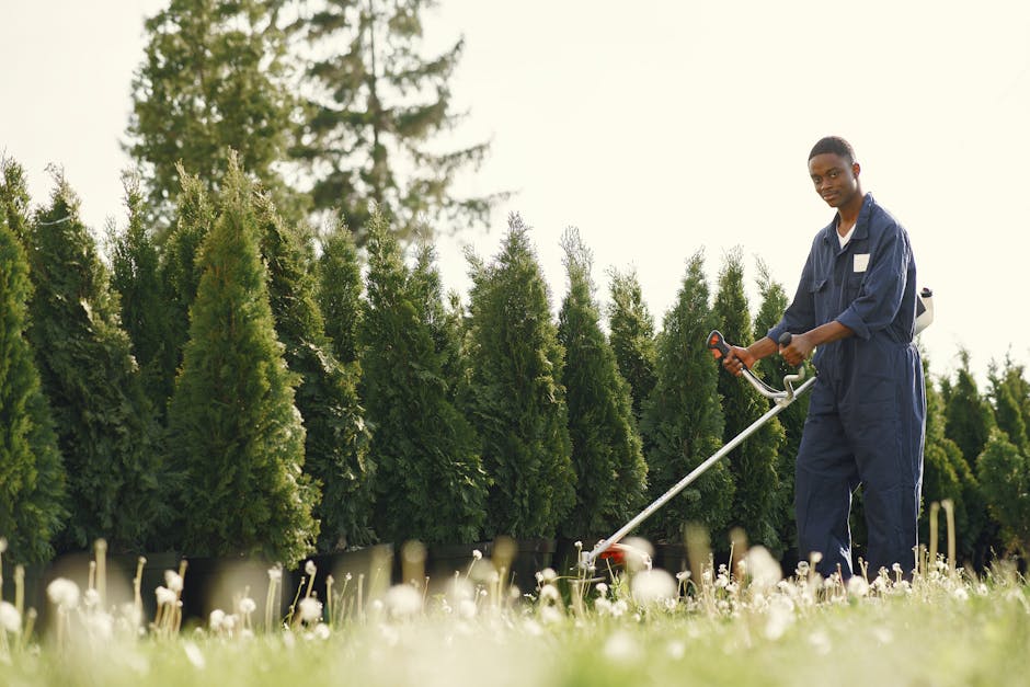 A neatly maintained garden featuring a lush green lawn with freshly mowed, uniform grass, bordered by flower beds filled with a variety of plants and shrubs. In the background, a trimmed hedge lines t